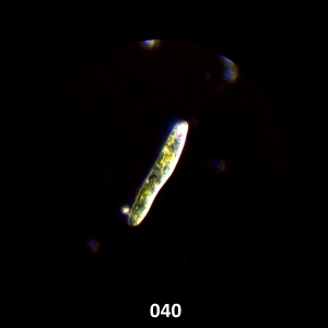 040