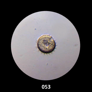 053