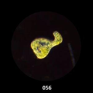 056