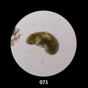 071